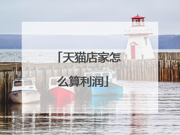 天猫店家怎么算利润