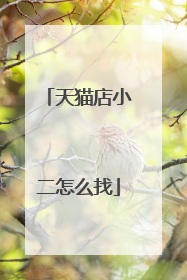 天猫店小二怎么找