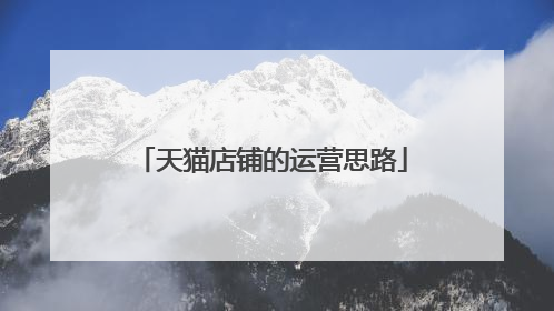 天猫店铺的运营思路