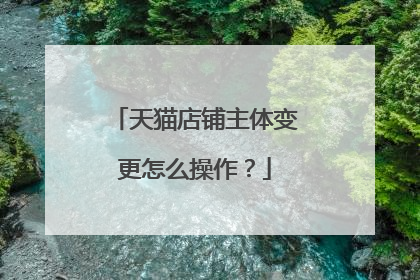 天猫店铺主体变更怎么操作?