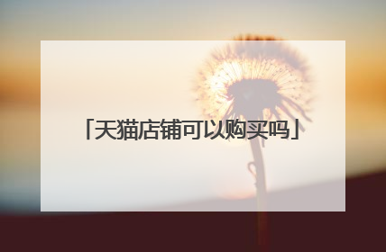 天猫店铺可以购买吗