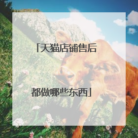 天猫店铺售后都做哪些东西