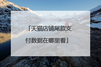 天猫店铺尾款支付数据在哪里看