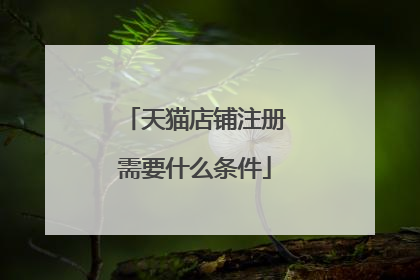 天猫店铺注册需要什么条件
