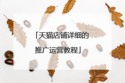 天猫店铺详细的推广运营教程