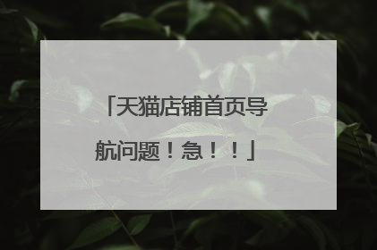 天猫店铺首页导航问题!急!!