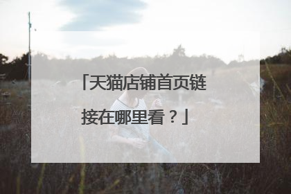 天猫店铺首页链接在哪里看?