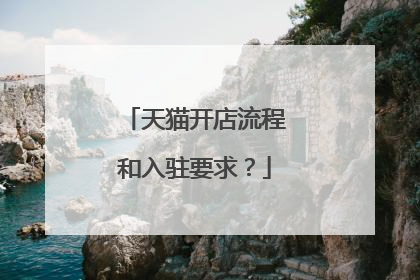 天猫开店流程和入驻要求?