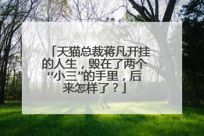 天猫总裁蒋凡开挂的人生,毁在了两个“小三”的手里,后来怎样了?