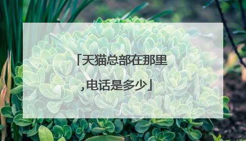 天猫总部在那里,电话是多少