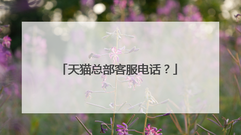 天猫总部客服电话?
