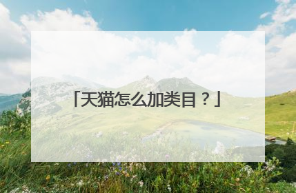 天猫怎么加类目？