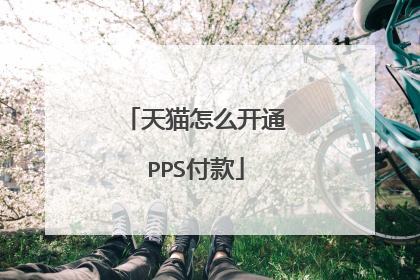 天猫怎么开通PPS付款
