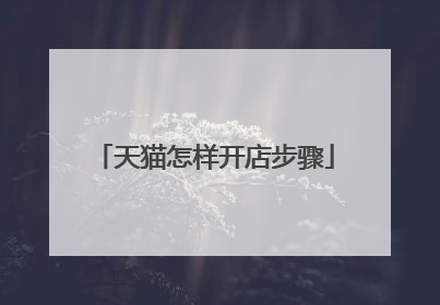 天猫怎样开店步骤