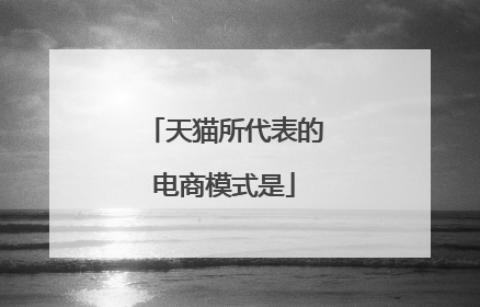 天猫所代表的电商模式是