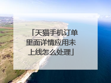 天猫手机订单里面详情应用未上线怎么处理