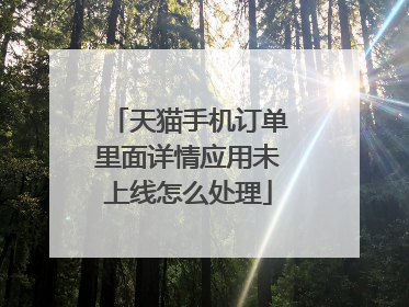 天猫手机订单里面详情应用未上线怎么处理