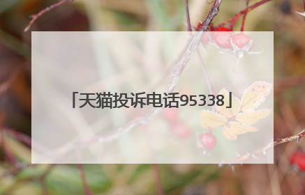 天猫投诉电话95338