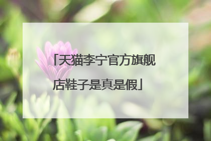 天猫李宁官方旗舰店鞋子是真是假