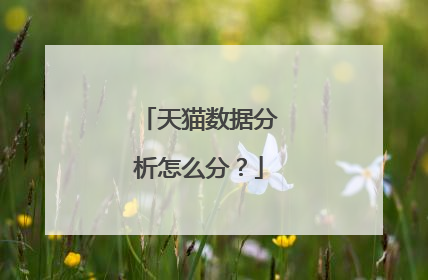 天猫数据分析怎么分?