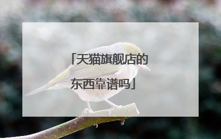 天猫旗舰店的东西靠谱吗