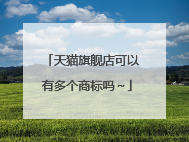 天猫旗舰店可以有多个商标吗~