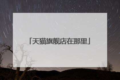 天猫旗舰店在那里