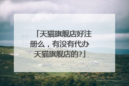 天猫旗舰店好注册么,有没有代办天猫旗舰店的?