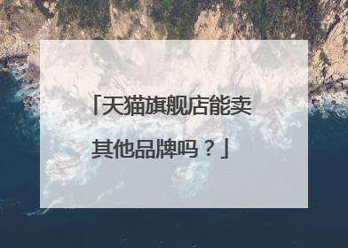 天猫旗舰店能卖其他品牌吗?