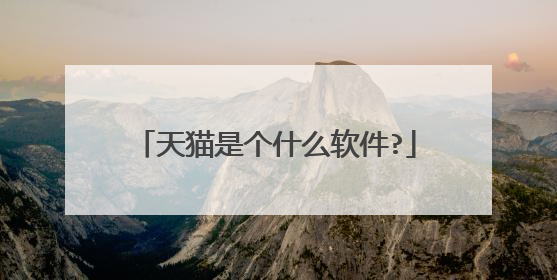 天猫是个什么软件?