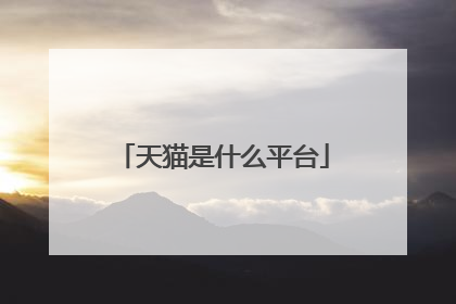 天猫是什么平台