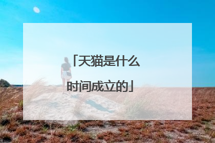 天猫是什么时间成立的