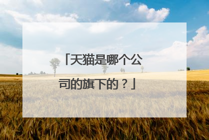 天猫是哪个公司的旗下的?