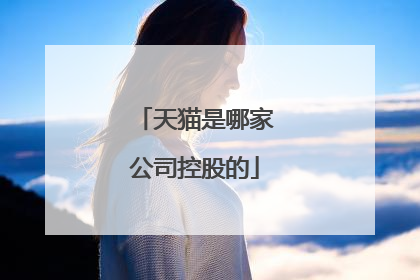 天猫是哪家公司控股的