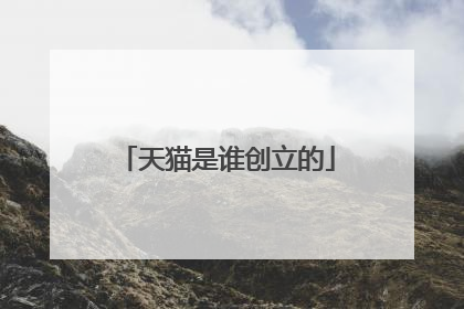 天猫是谁创立的