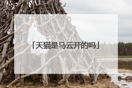 天猫是马云开的吗
