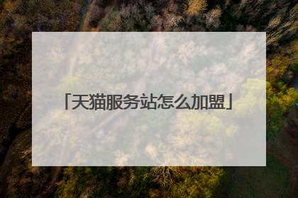天猫服务站怎么加盟