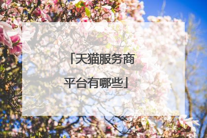 天猫服务商平台有哪些