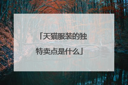 天猫服装的独特卖点是什么
