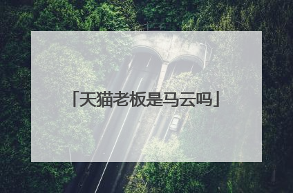 天猫老板是马云吗