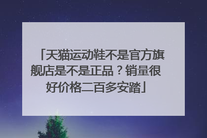 天猫运动鞋不是官方旗舰店是不是正品?销量很好价格二百多安踏