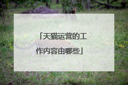 天猫运营的工作内容由哪些