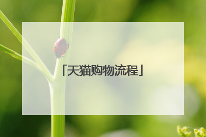 天猫购物流程