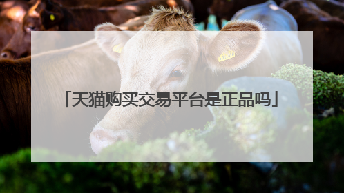 天猫购买交易平台是正品吗
