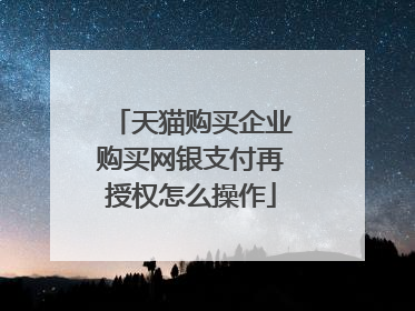 天猫购买企业购买网银支付再授权怎么操作