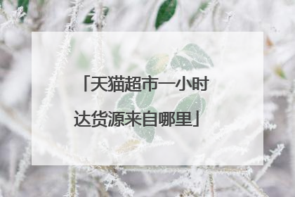 天猫超市一小时达货源来自哪里