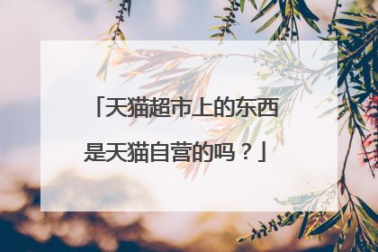 天猫超市上的东西是天猫自营的吗?