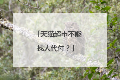 天猫超市不能找人代付?