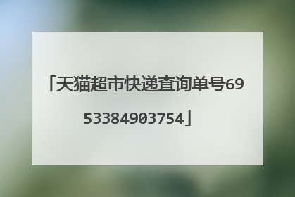 天猫超市快递查询单号6953384903754