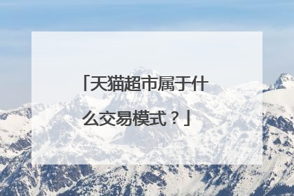 天猫超市属于什么交易模式?